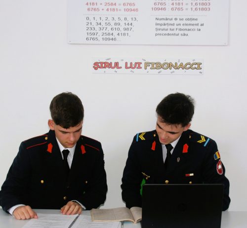 Distincții la Olimpiada de Matematică