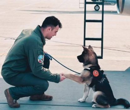 ZBOR LIN PRINTRE ÎNGERI, OM BUN ȘI CU SUFLET MARE!