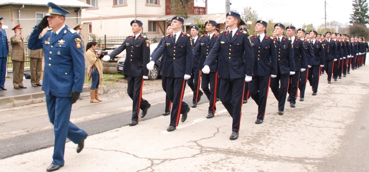 Read more about the article Ziua Armatei României