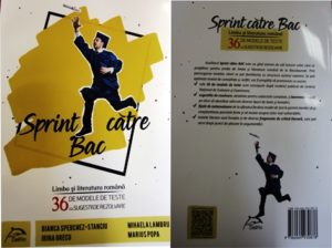 Read more about the article “Sprint către Bac” – pasiune şi dăruire!