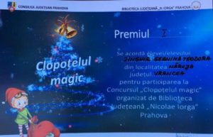 Read more about the article Distincții pentru cantemiriștii aflați la început de drum