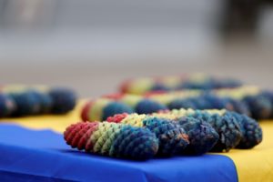 Read more about the article Ziua Limbilor Europei
