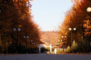 Read more about the article Suflete în cadență