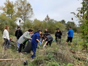 Read more about the article Din respect pentru natură!