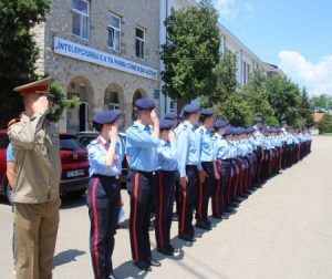 Read more about the article Testul de verificare a cunoștințelor