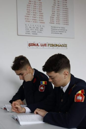 Read more about the article Distincții la Olimpiada de Matematică