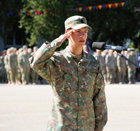 Read more about the article Primul admis în Colegiul Național Militar „Dimitrie Cantemir”, cu media finală de admitere 10
