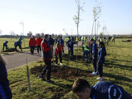 Read more about the article Din respect pentru natură!
