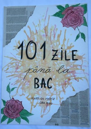 Read more about the article 101 zile până la examenul de Bacalaureat