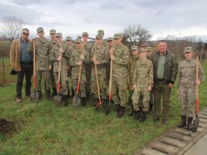 Read more about the article Săptămâna verde